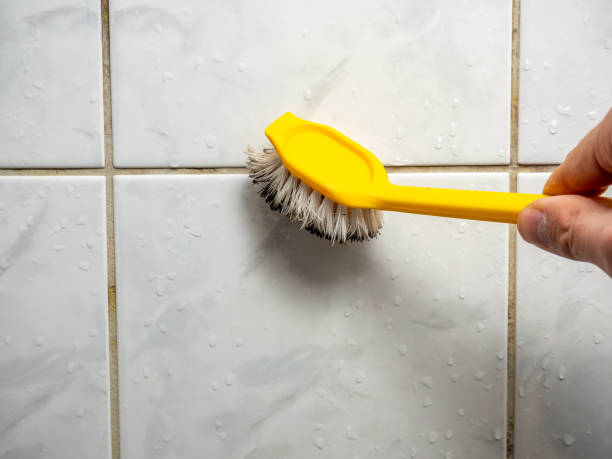 Best Mold Removal Near Me  in Burns, OR