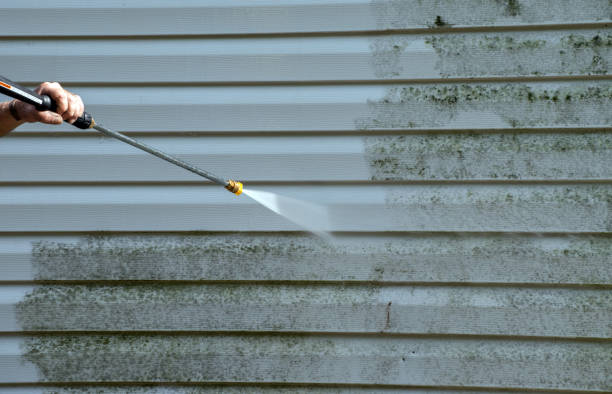 Best Professional Mold Removal  in Burns, OR