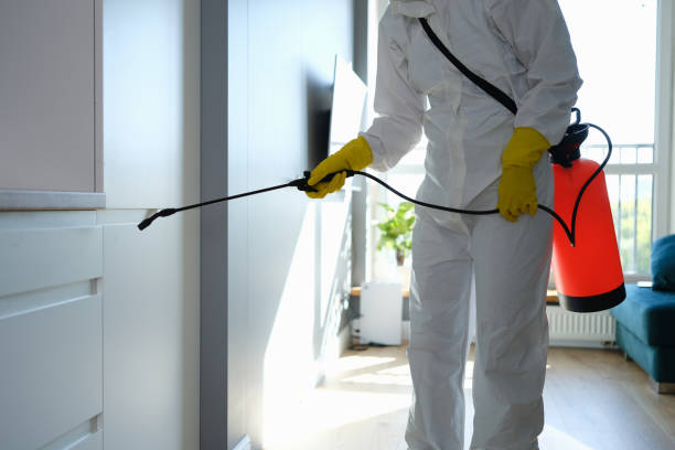 Best Mold Remediation  in Burns, OR