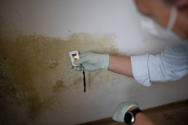 Mold Removal and Inspection in Burns, OR