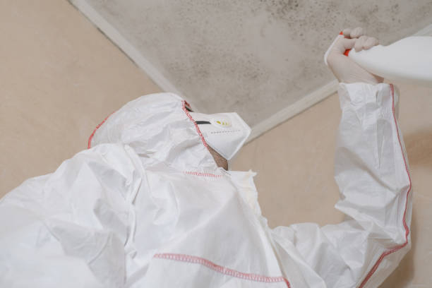 Best Best Mold Removal Companies  in Burns, OR