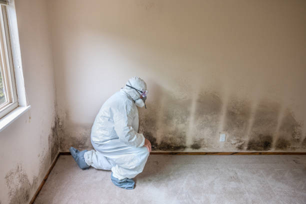 Best Emergency Mold Removal  in Burns, OR