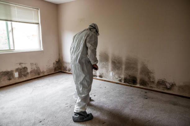 Best Affordable Mold Removal  in Burns, OR